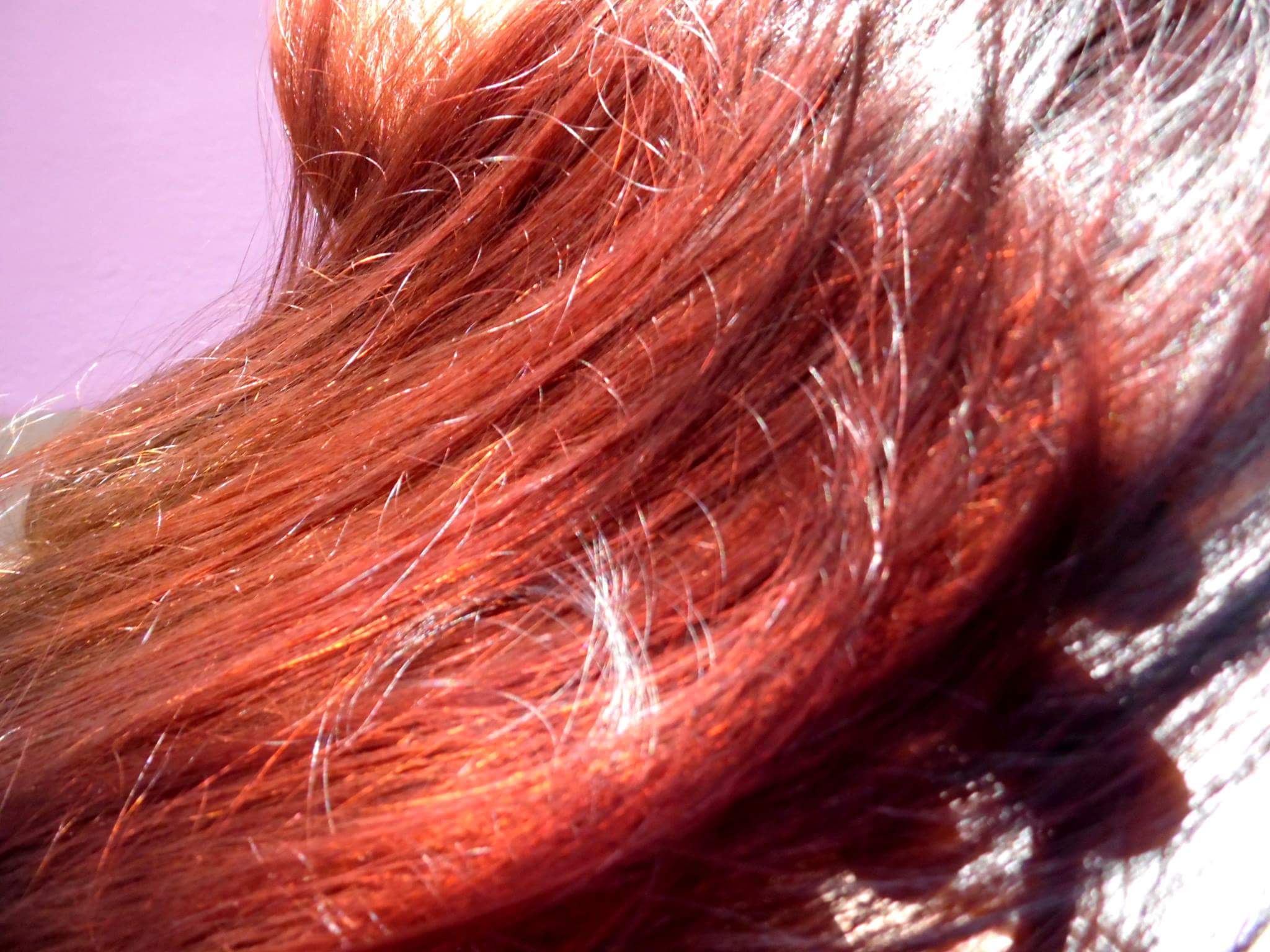 Damask henné du pakistan